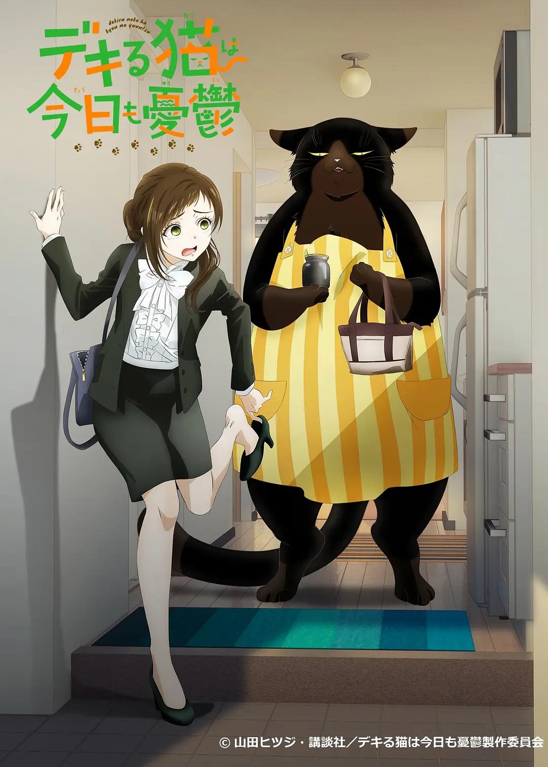 能干的猫今天也忧郁动画