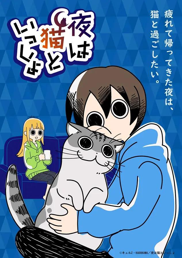关于养猫我一直是新手动画