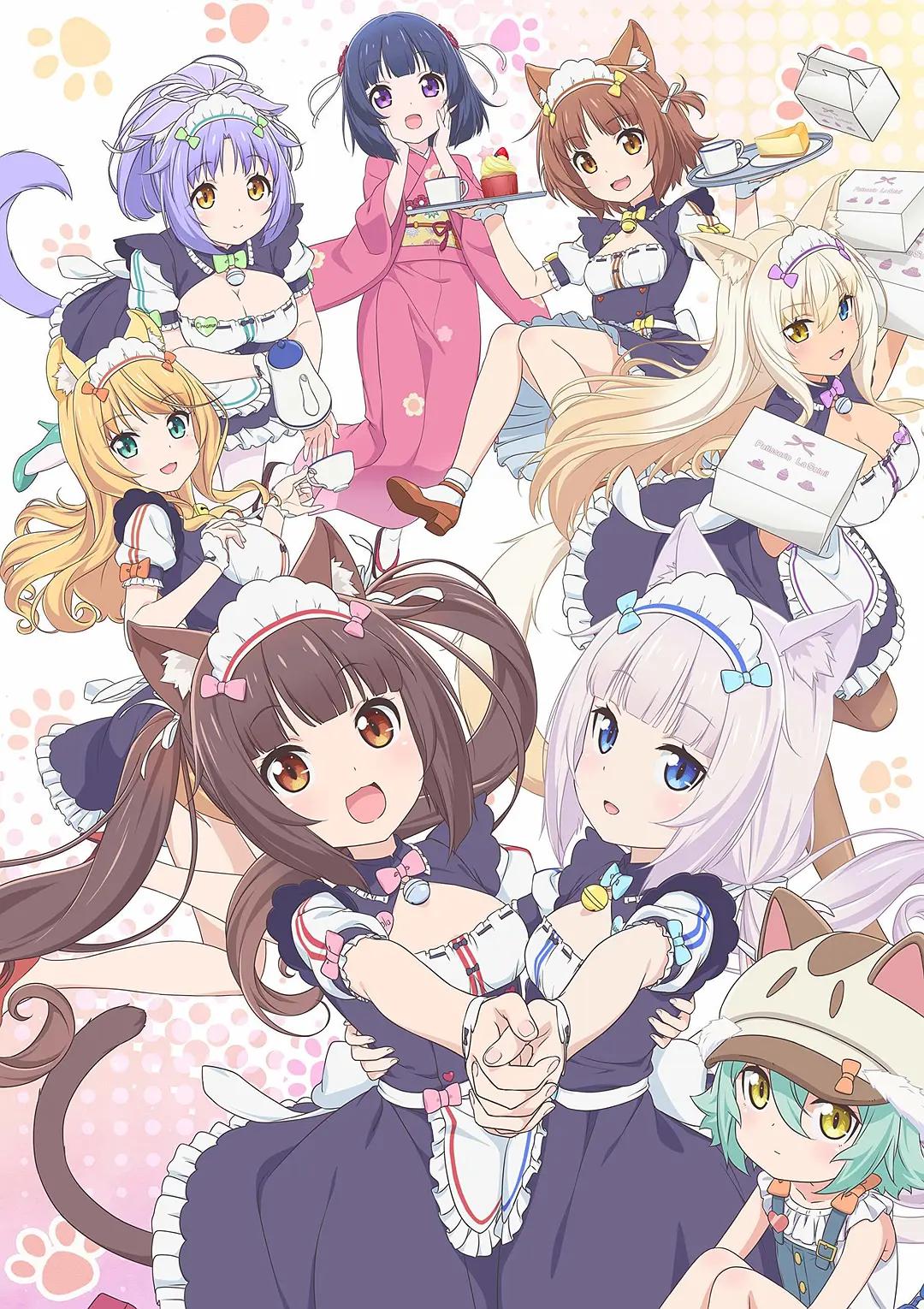 猫娘乐园动画