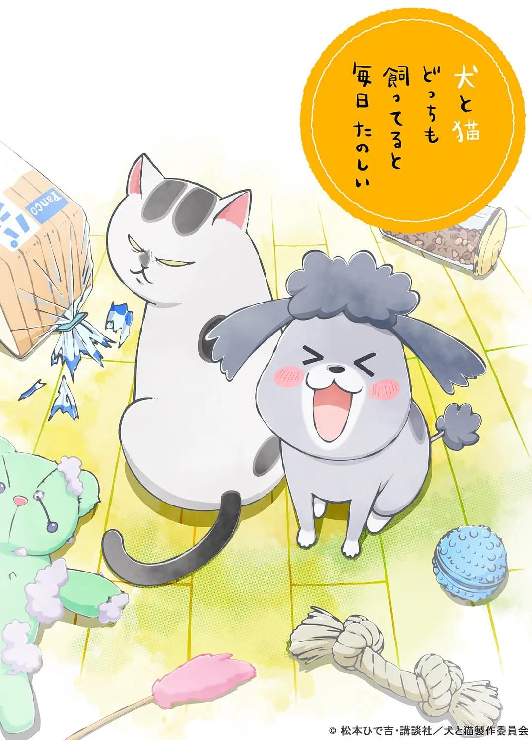 养狗与猫每天都很开心动画