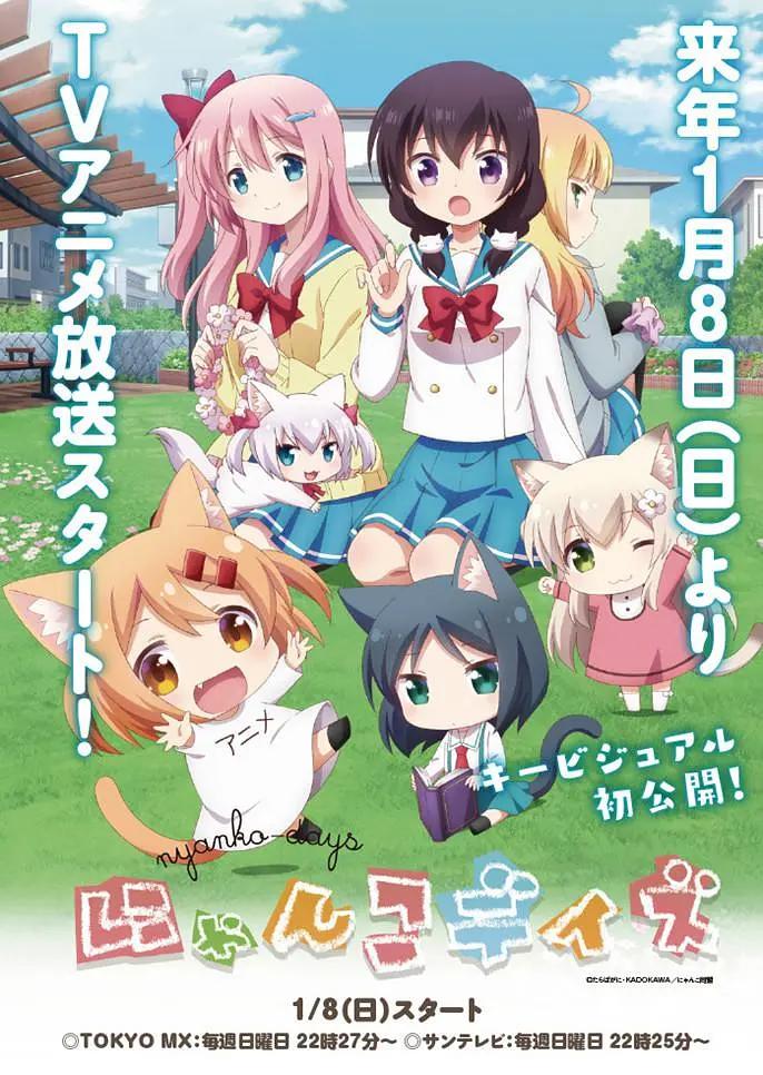 猫咪days动画