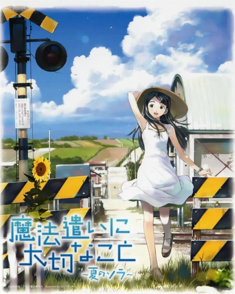 魔法使的注意事项：夏之空动画