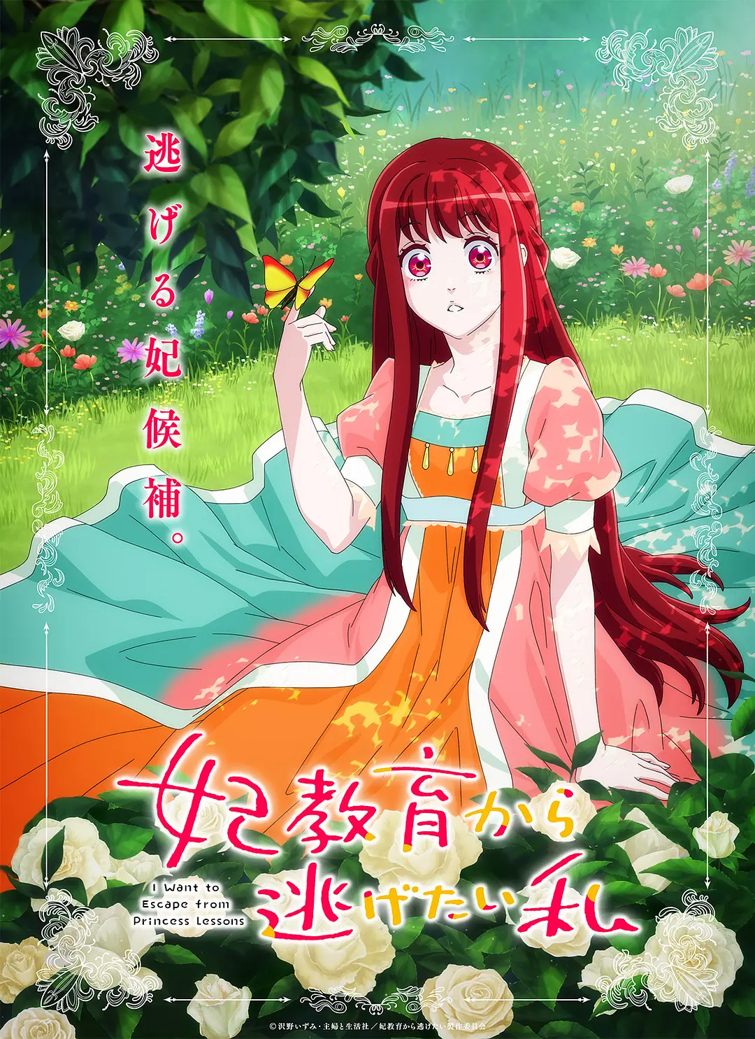想摆脱公主教育的我动画