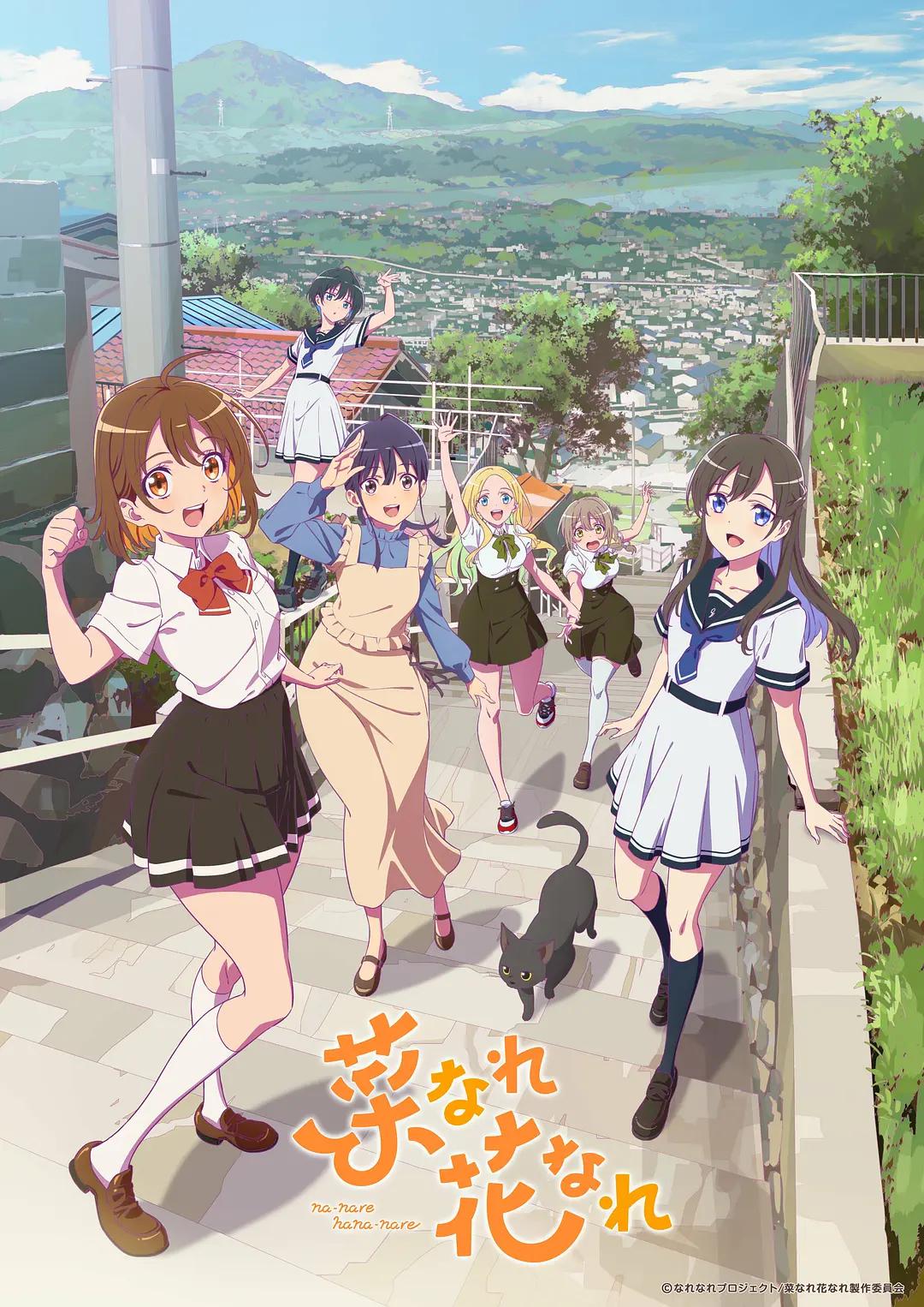 亦叶亦花动画