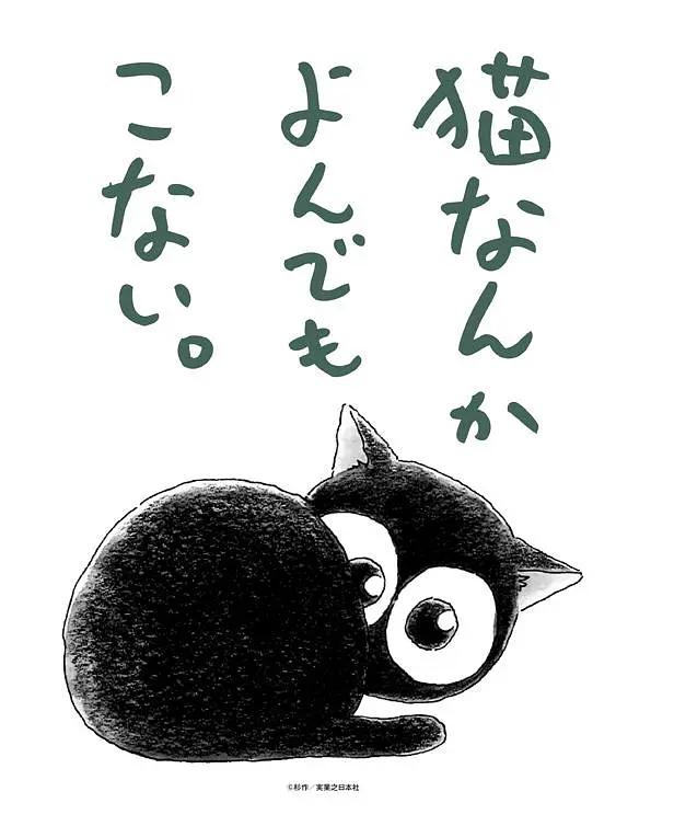 为什么猫都叫不来动画