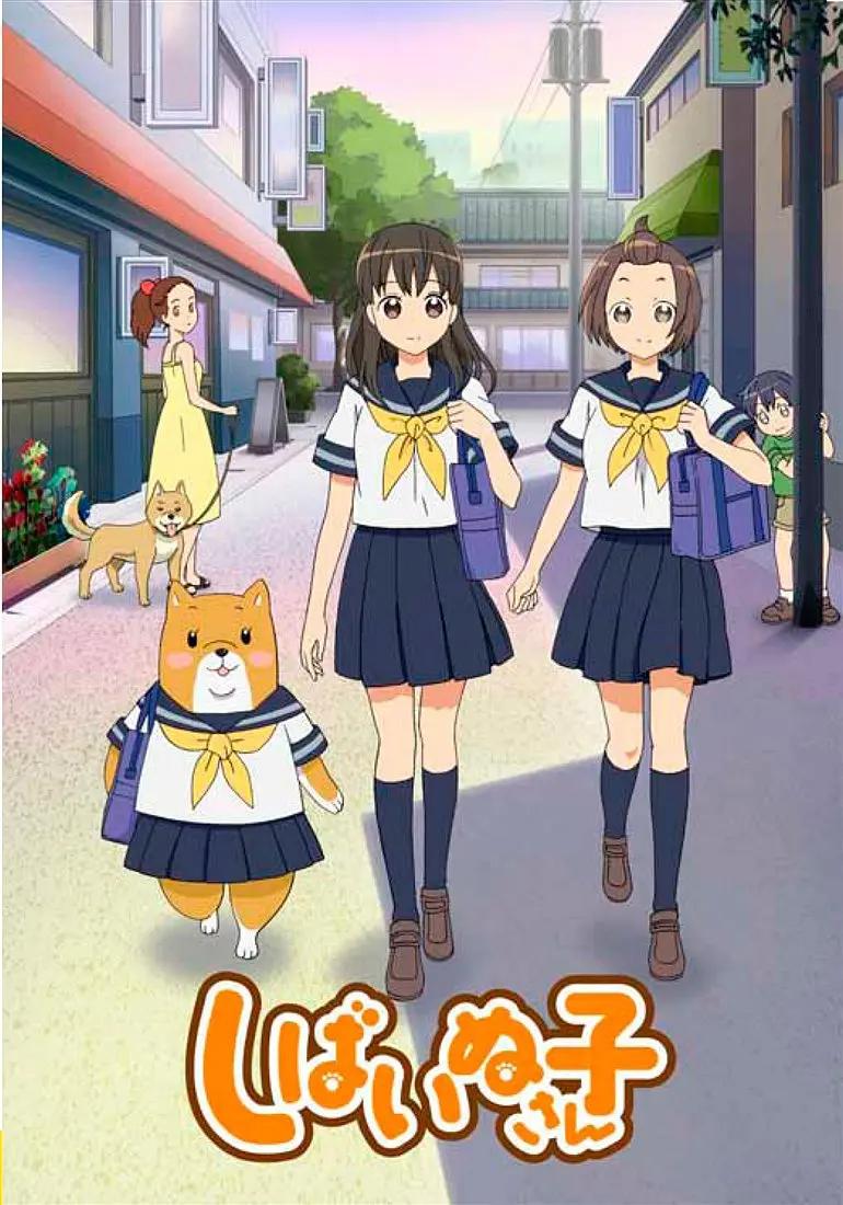 柴犬子动画
