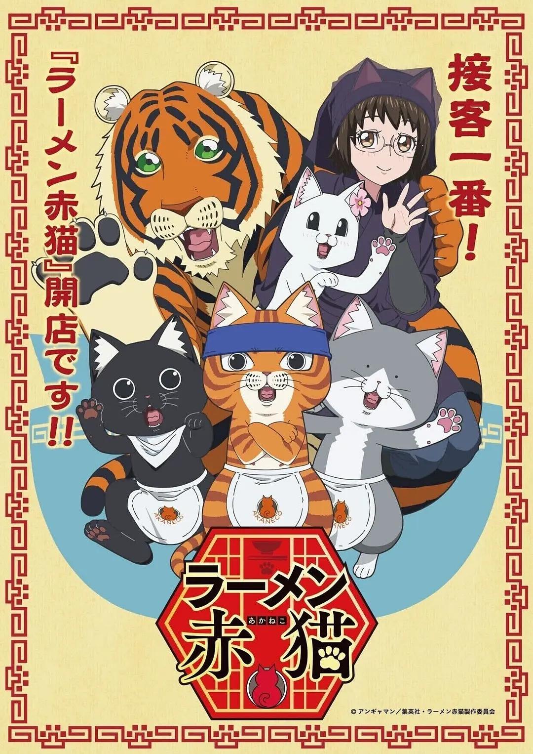 拉面赤猫动画