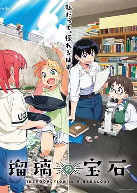 瑠璃的宝石动画