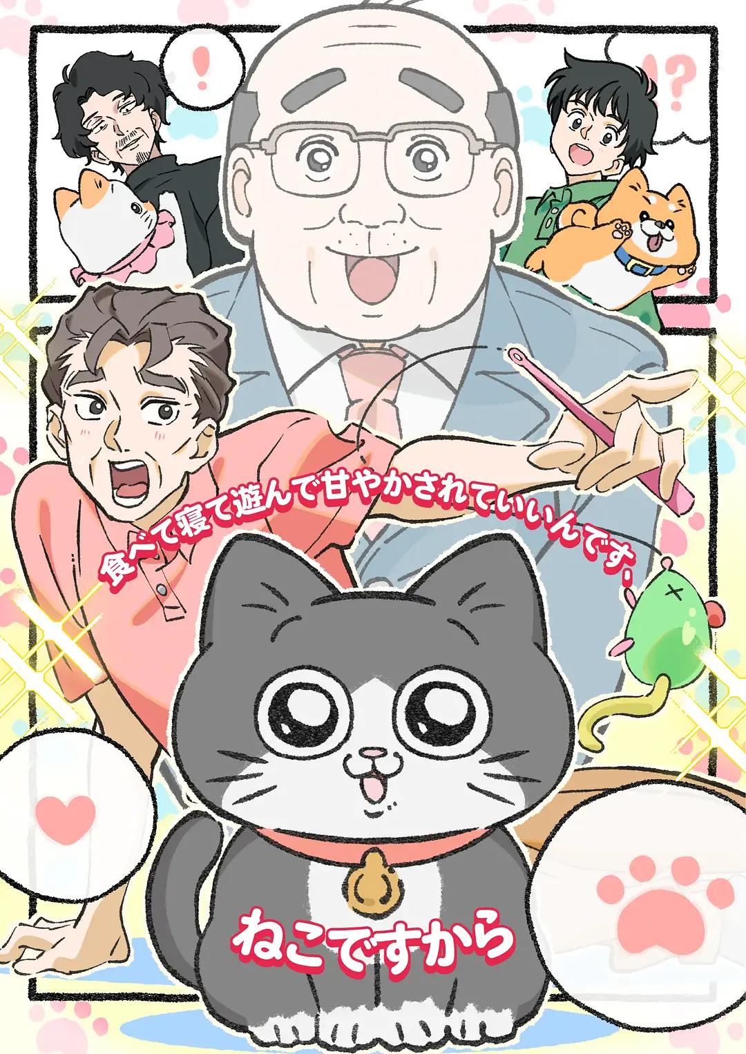 转生成猫的大叔动画